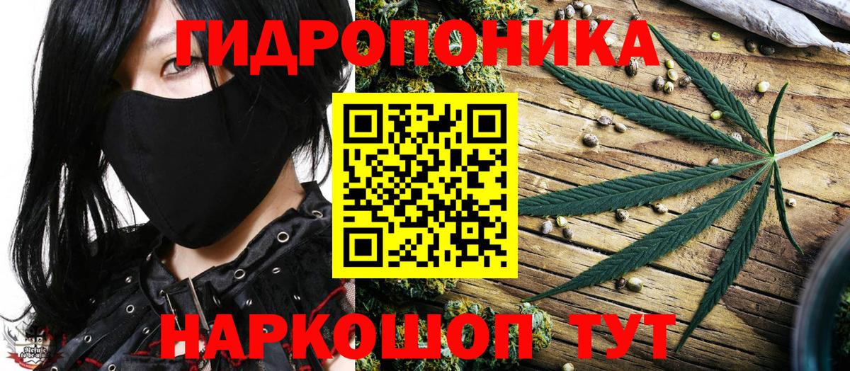 Шишки марихуана Bruce Banner Донской